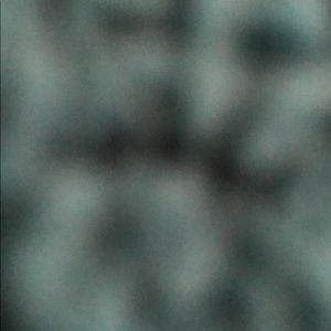 Meet your Posher, Dev